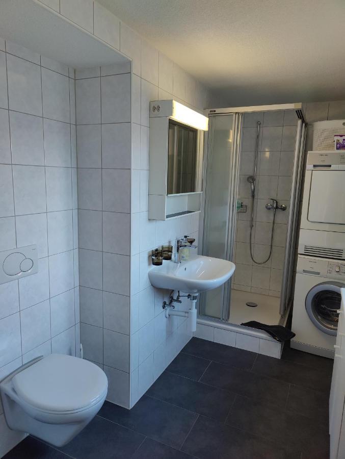 Hubel Apartment 14 Wilderswil Eksteriør billede