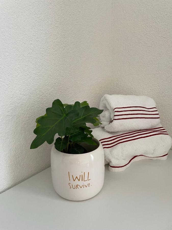 Hubel Apartment 14 Wilderswil Eksteriør billede