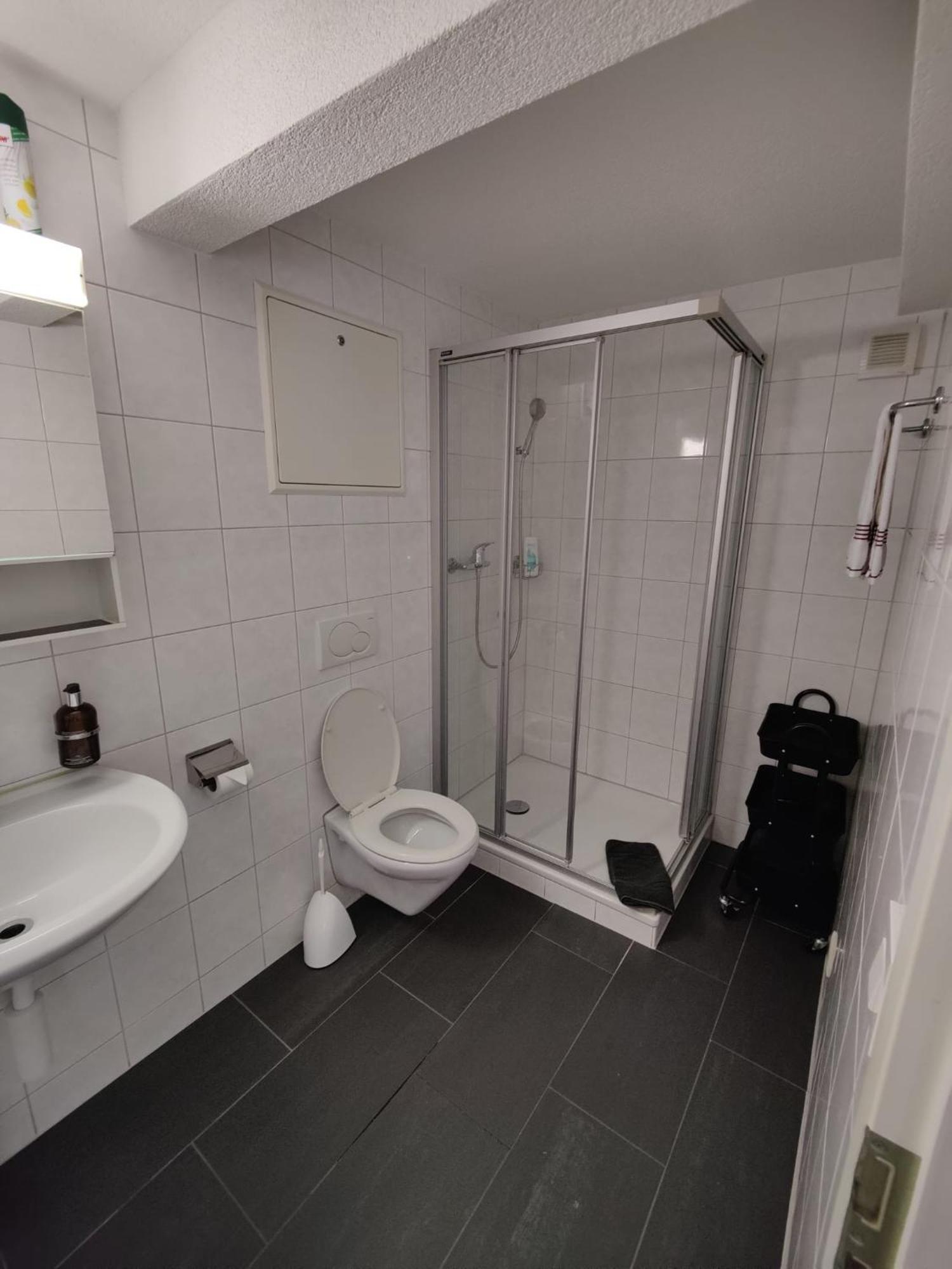 Hubel Apartment 14 Wilderswil Værelse billede